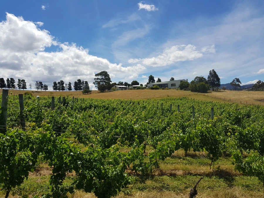 Morning views... Image: Supplied
