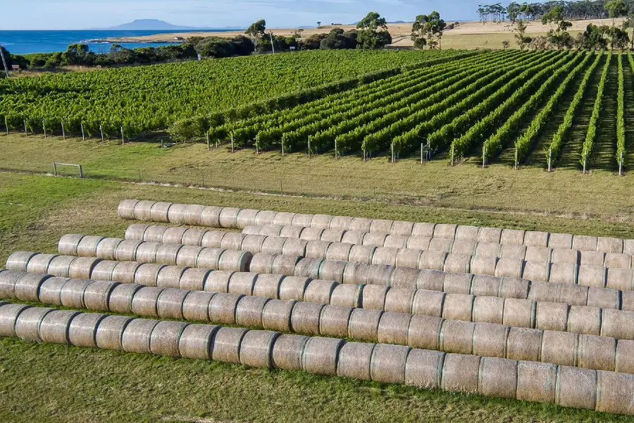 Signs of diversified farming. Image: Supplied