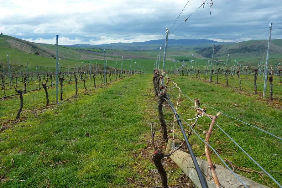 Signs of diversified farming success. Image: Supplied