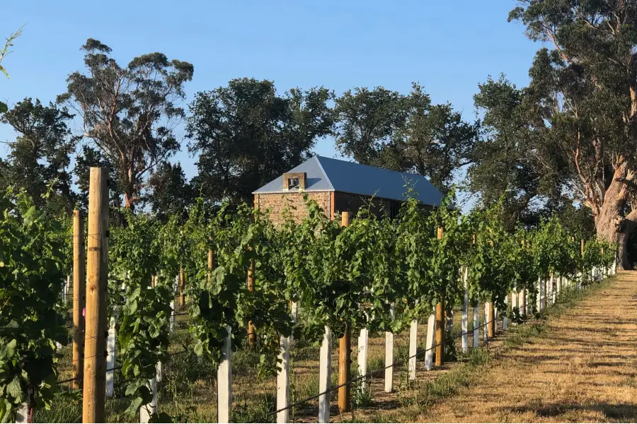 Old barn, new vines... Image: Supplied