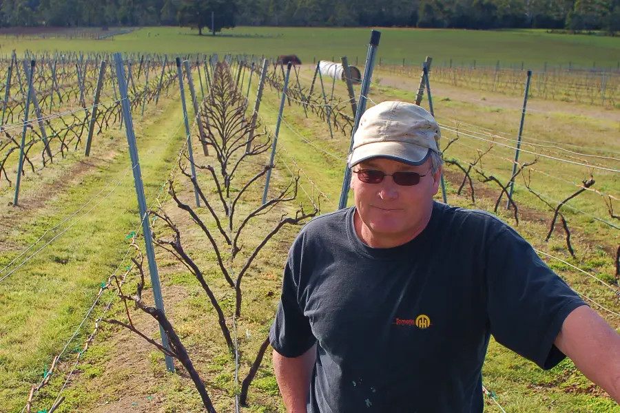 Apsley Gorge Vineyard.