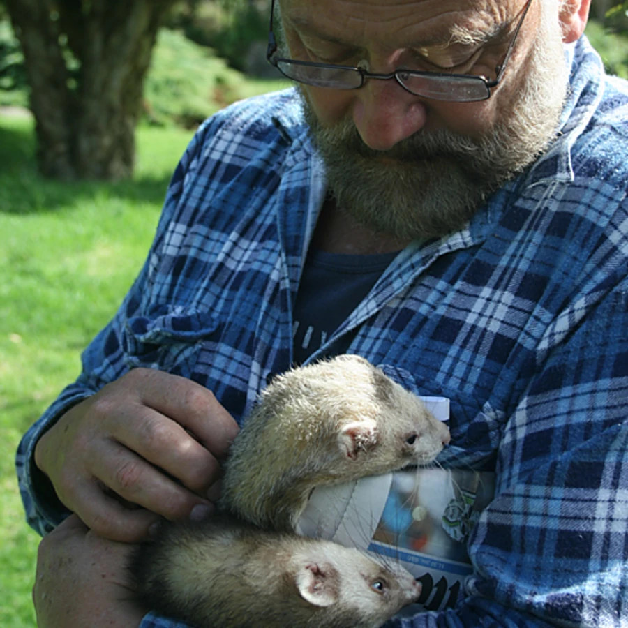 Ferret friends. Image: Jim Markowich
