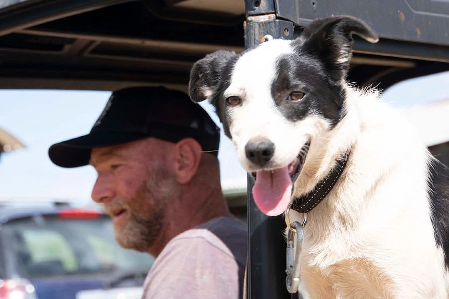 With vineyard companion Jess. Image: Supplied