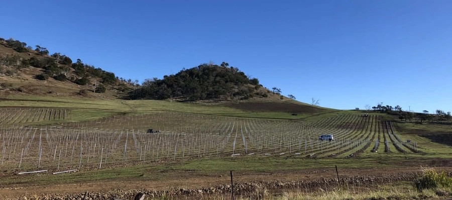 New 17ha site, June 2019.