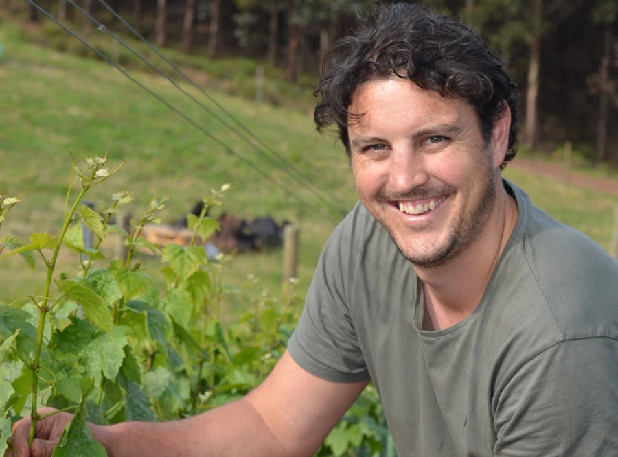 Sinapius Vineyard's Vaughn Dell.