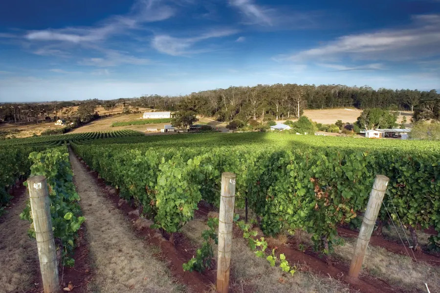 Dalrymple, Pipers River. Image: Supplied