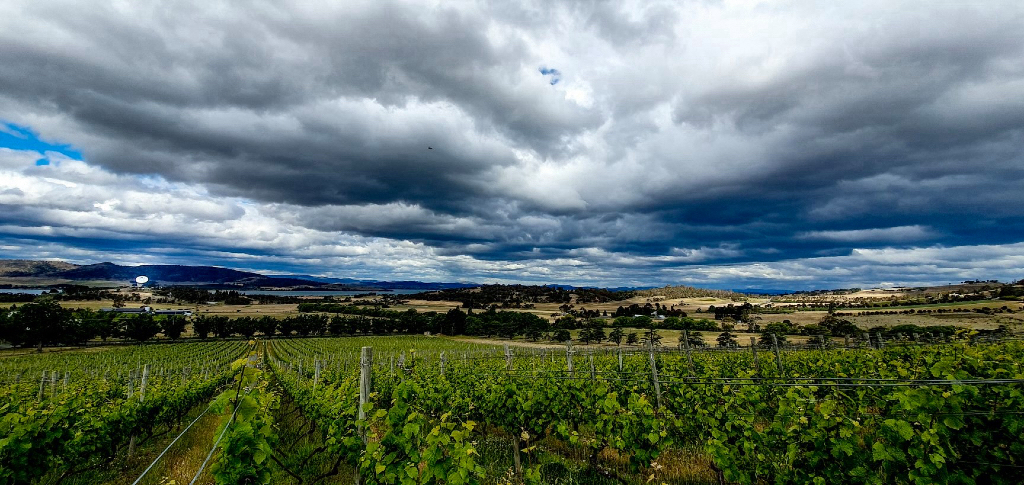 Image supplied: Craigow, Dec 2019