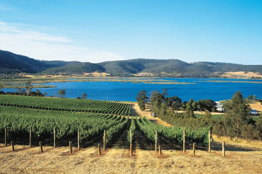 Image: Tourism Tasmania/Peter Morse, Wildfish