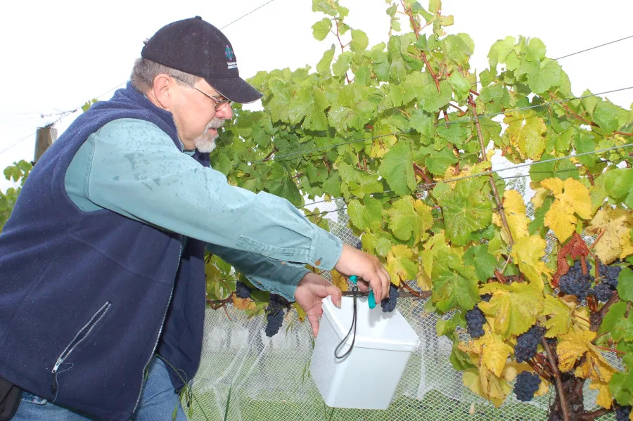 Dr Bob Dambergs, senior research scientist