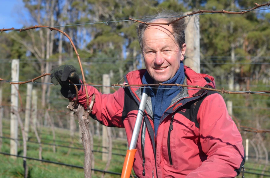 Unique trellising system