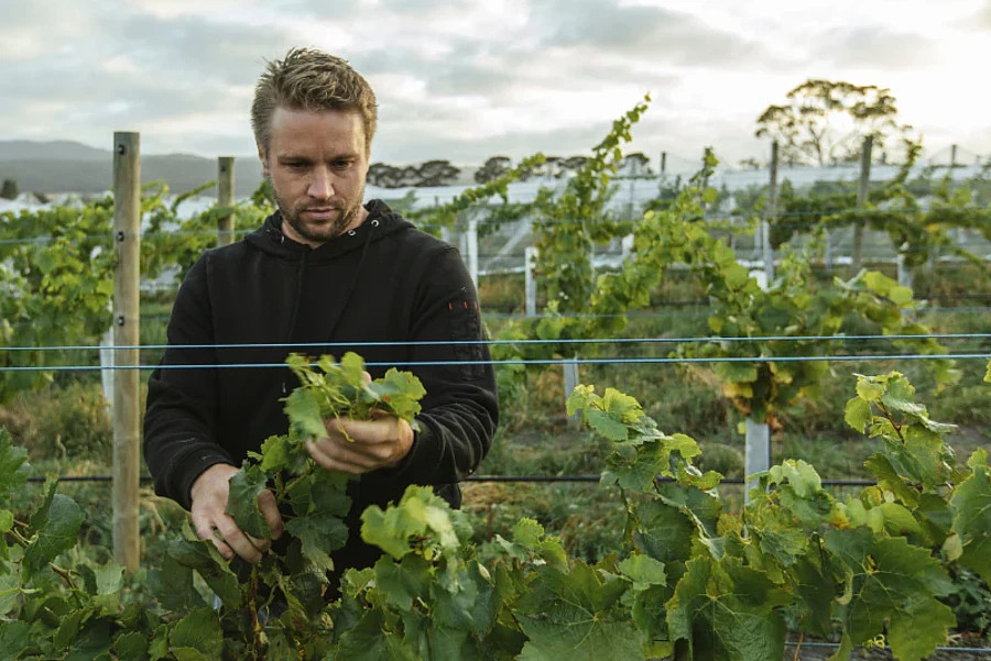 Image: Wine Australia