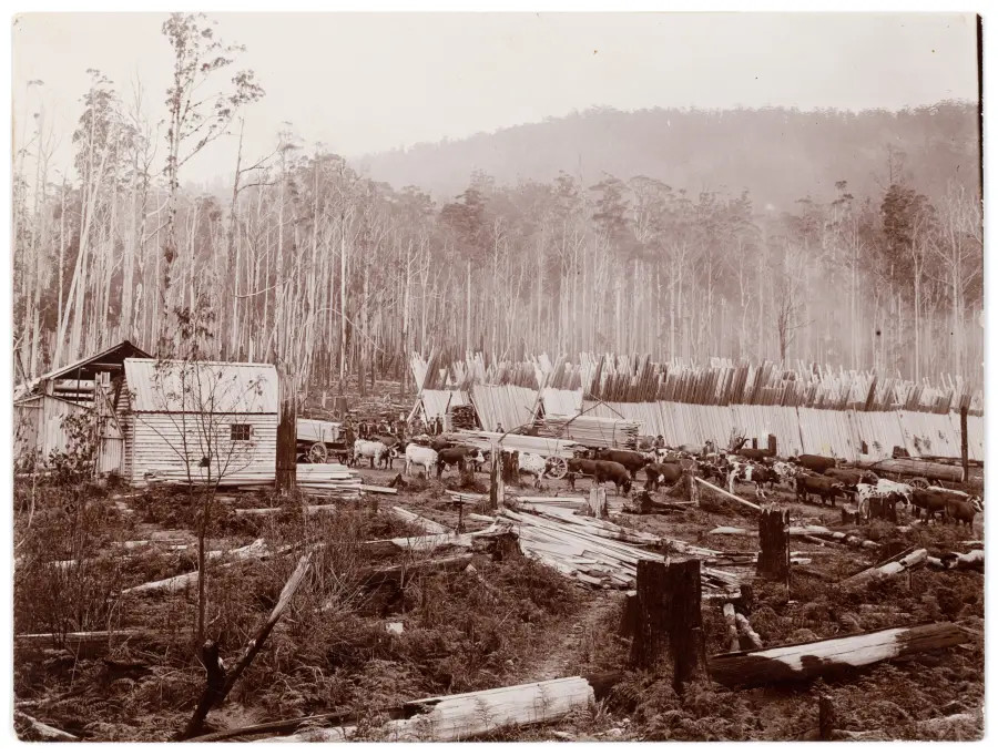 Image: Tasmanian Archives