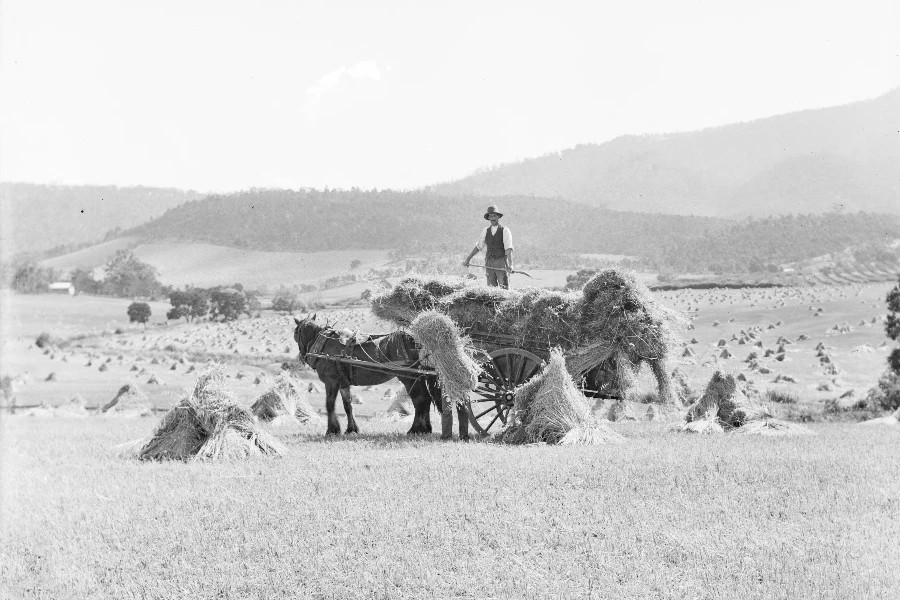Image: Tasmanian Archives