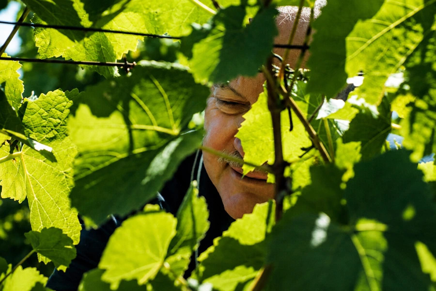 Image: Wine Australia