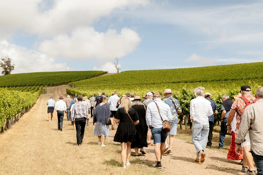 Image: Dalrymple Vineyards
